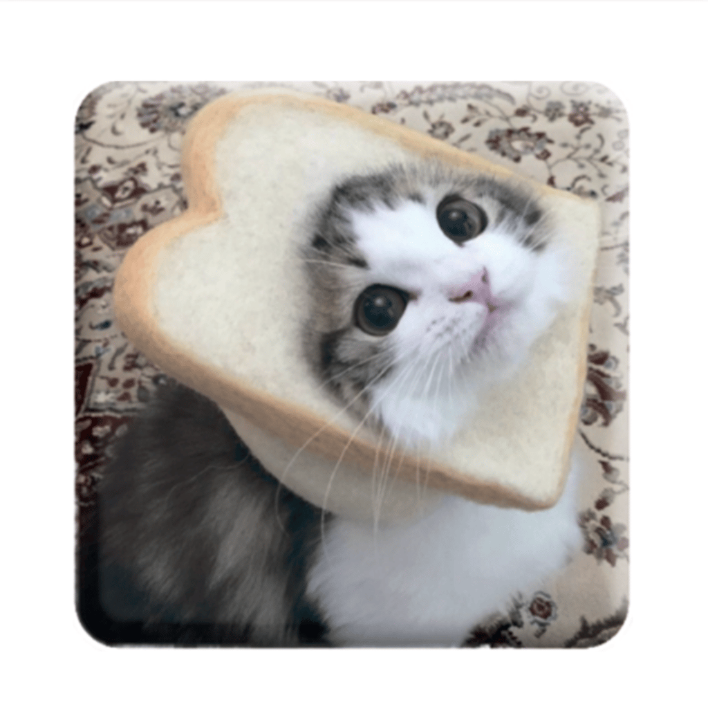 Обкладника "3D стікер «Мем смішний кіт»" Обкладинка "3D стікер «Мем смішний кіт»"