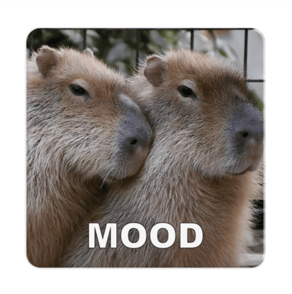 Обкладника "3D стікер «Kapibara mood»" Обкладинка "3D стікер «Kapibara mood»"