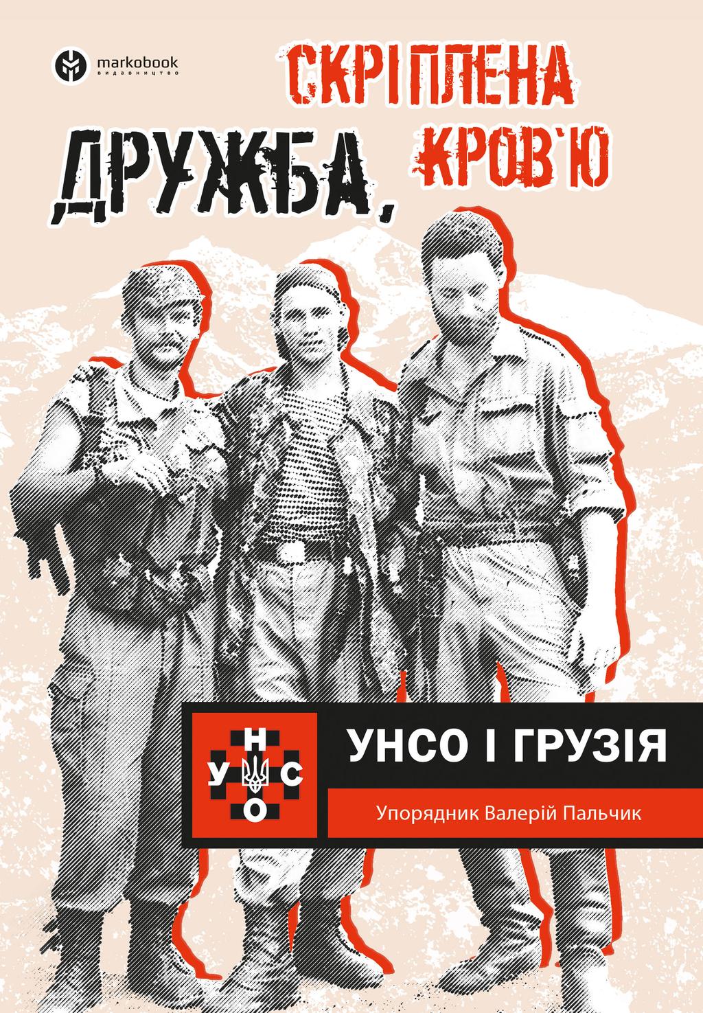 Дружба, скріплена кров'ю. УНСО і Грузія