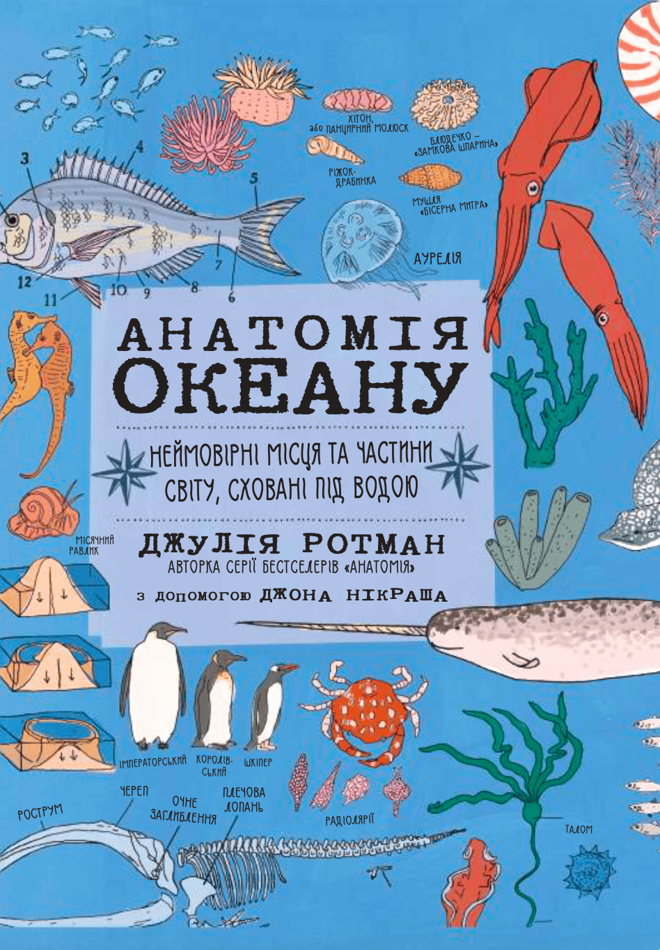 Обкладника "Анатомія океану. Неймовірні місця та частини світу, сховані під водою" - 1 Фото Превью "Анатомія океану. Неймовірні місця та частини світу, сховані під водою" - Фото №1