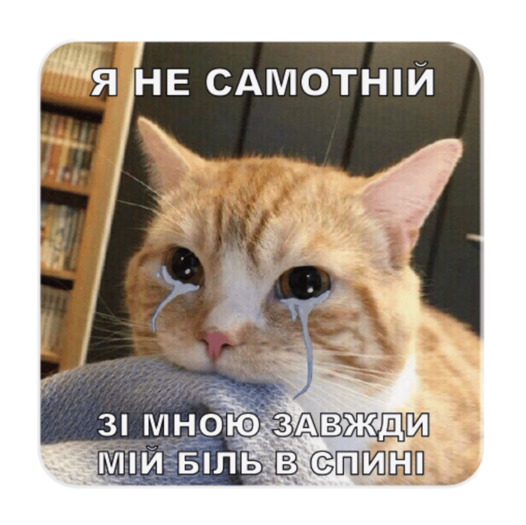 Обкладника "3D стікер «Самотній кіт»" Обкладинка "3D стікер «Самотній кіт»"