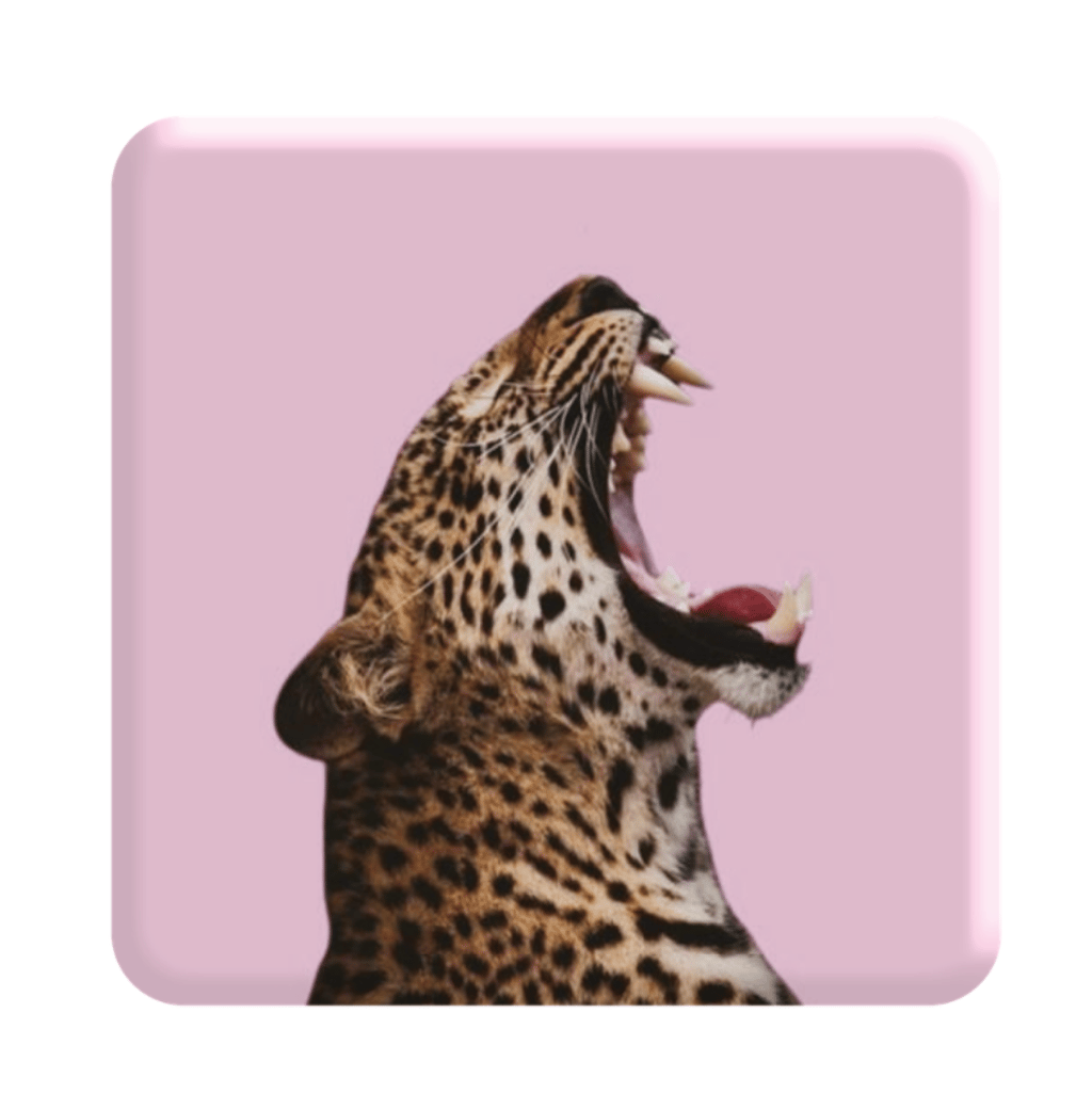 Обкладника "3D стікер «Pink wild cat»" Обкладинка "3D стікер «Pink wild cat»"