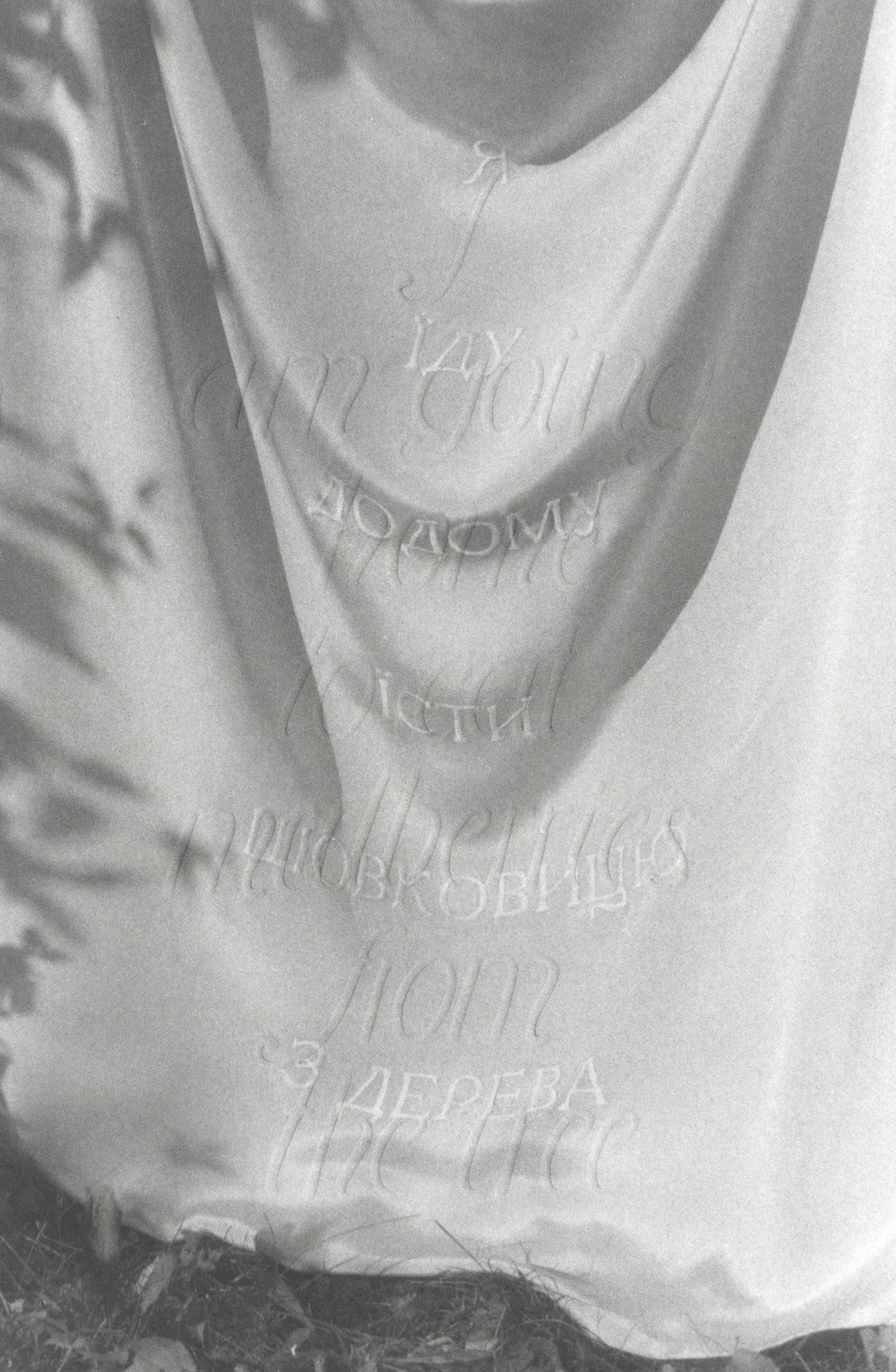 Я їду додому їсти шовковицю з дерева