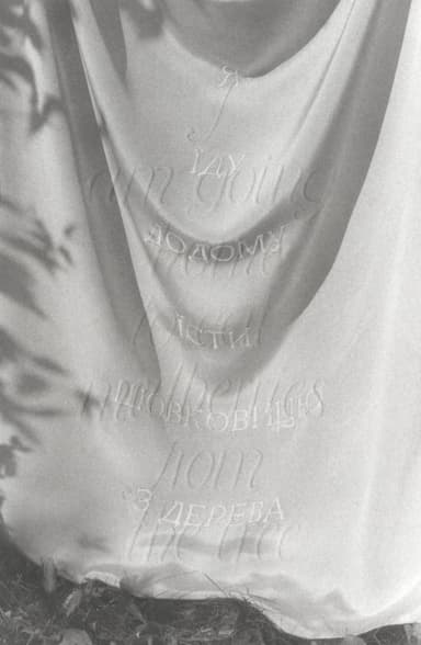 Я їду додому їсти шовковицю з дерева