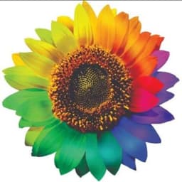 Видавництво "Видавництво «КОЛО»" Видавництво «КОЛО»