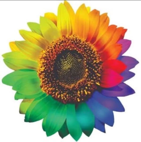 Видавництво "Видавництво «КОЛО»" Видавництво «КОЛО»