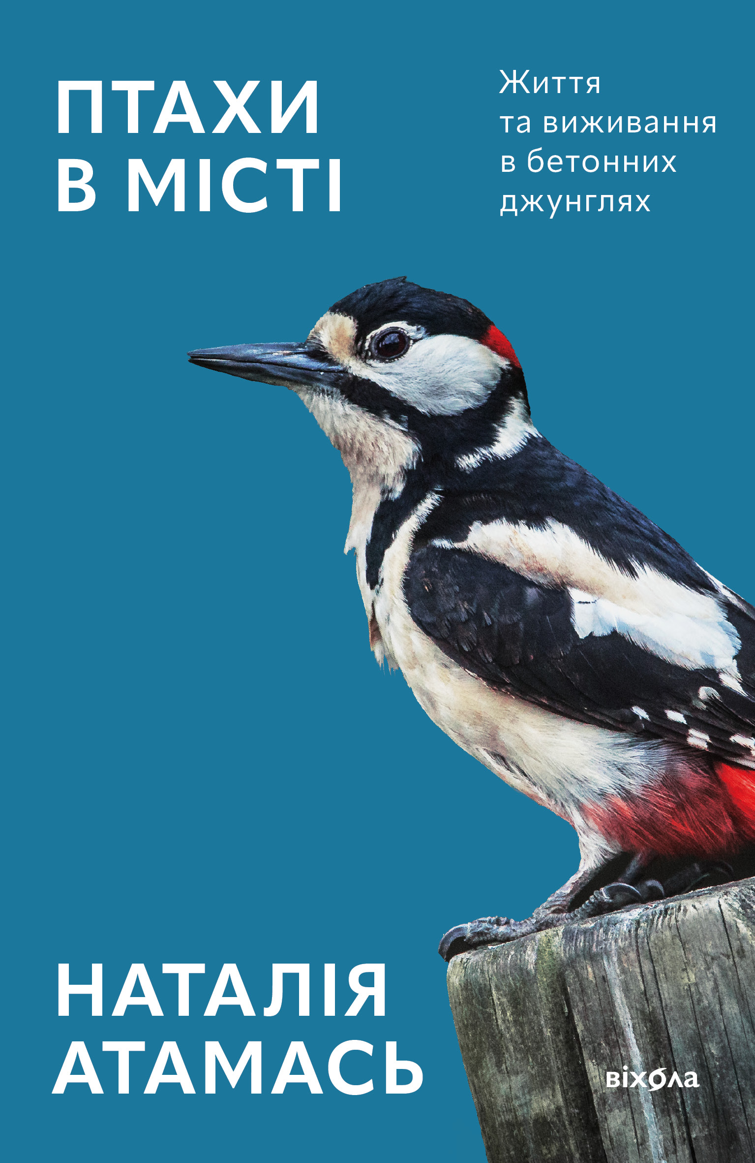 Птахи в місті. Життя та виживання в бетонних джунглях