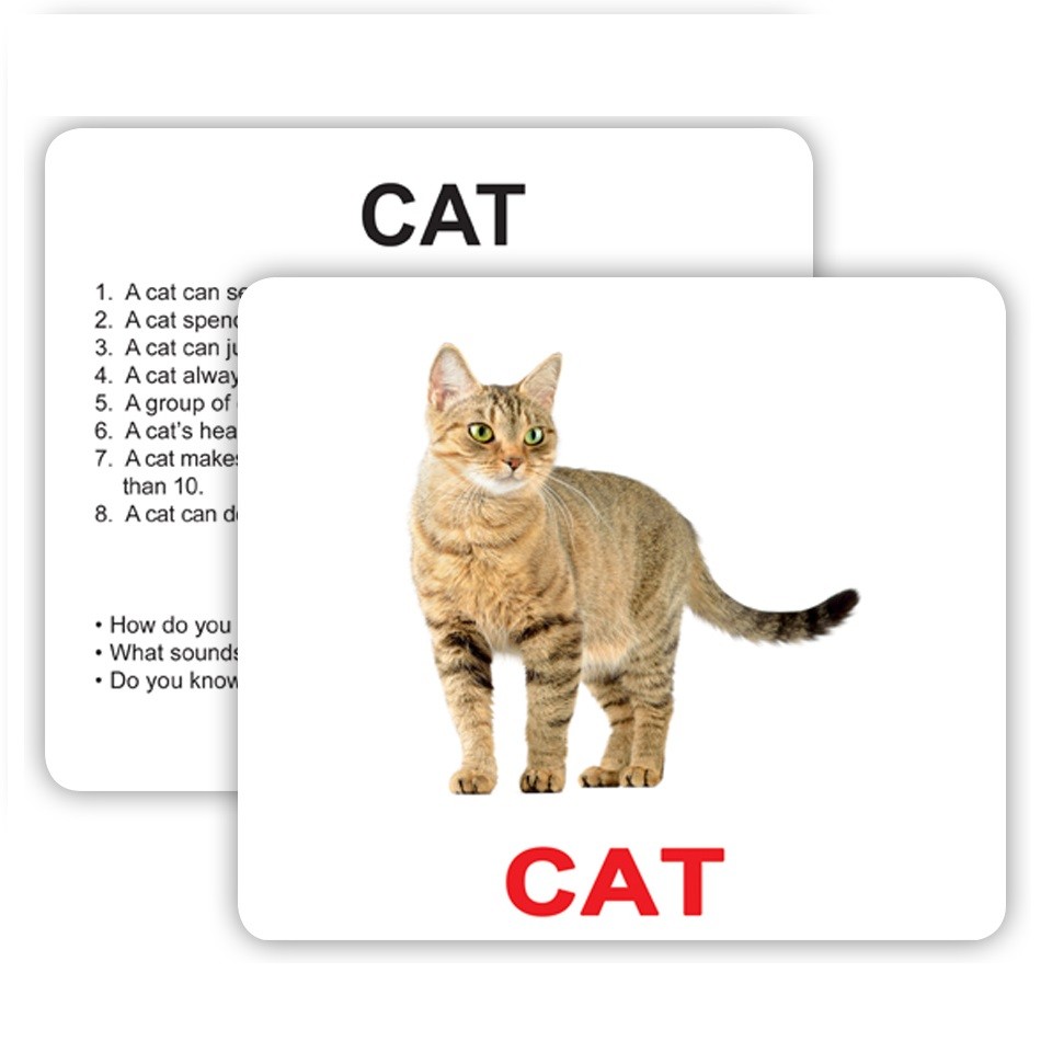 Англійські картки Домана з фактами "Pets and farm animals...