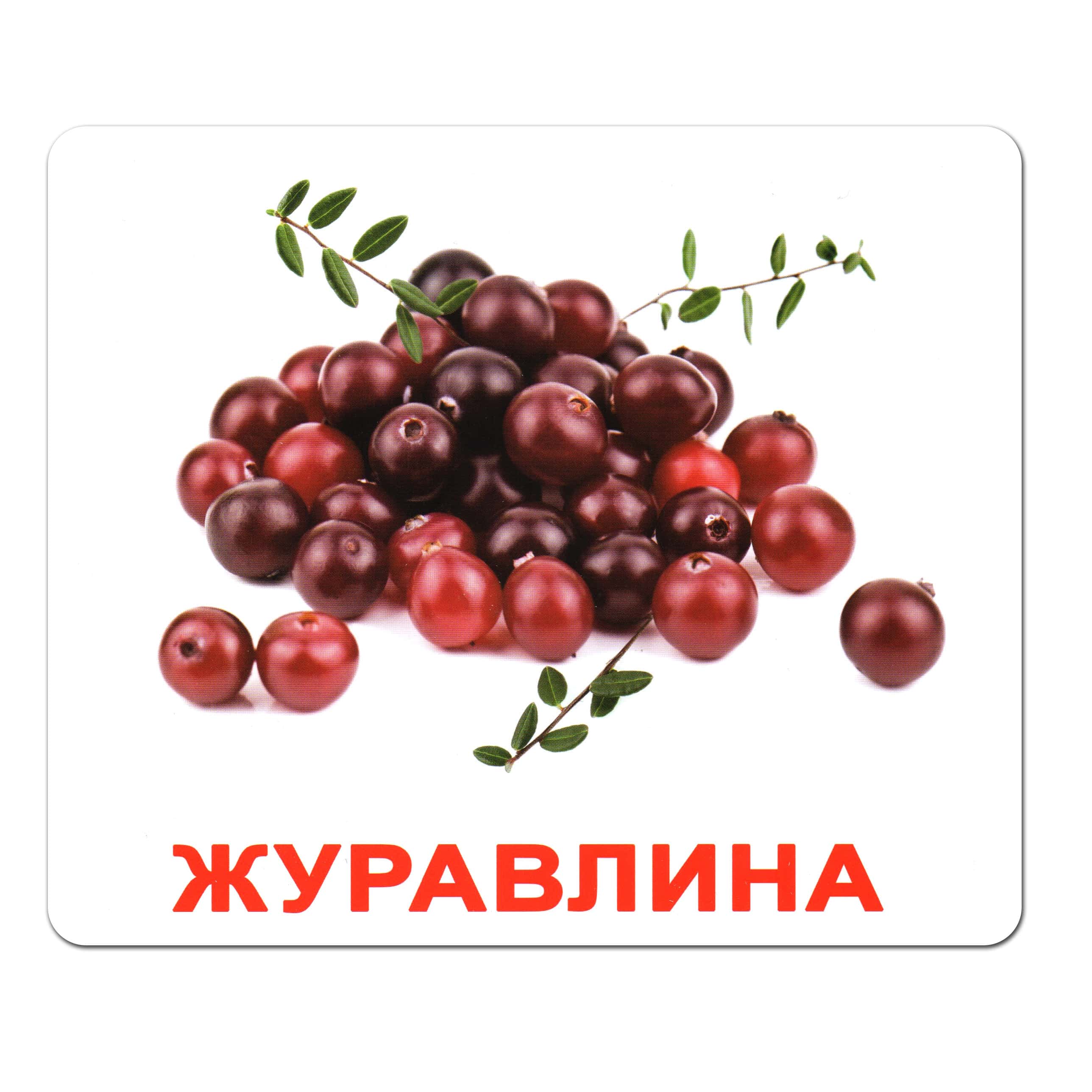 Ламіновані картки Домана "Ягоди"