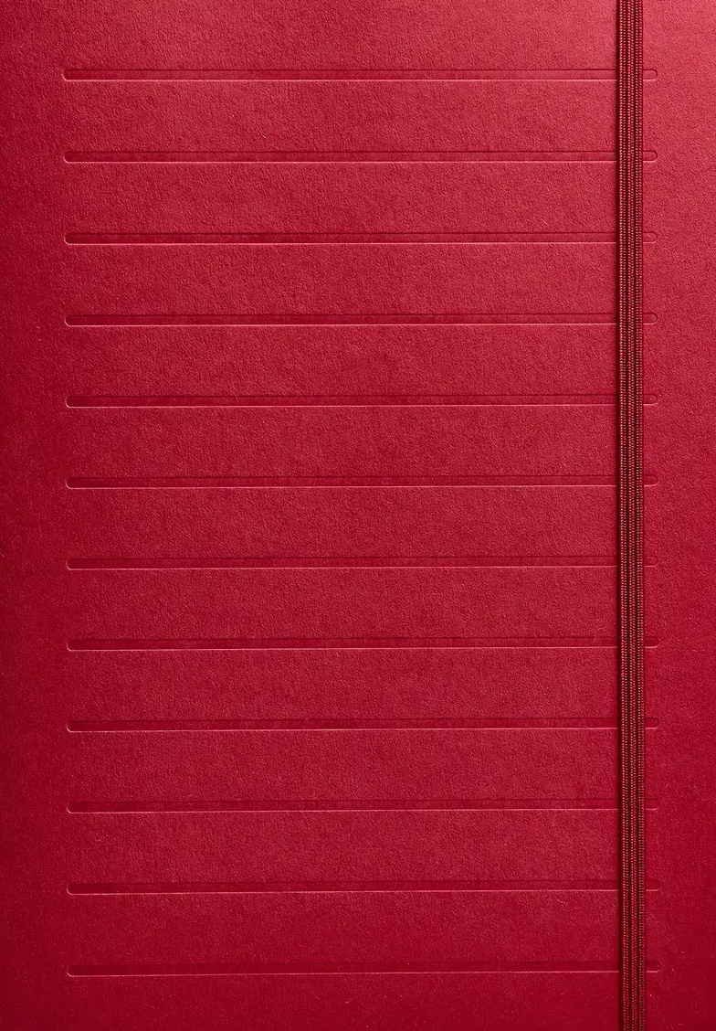 Нотатник "Бордова лінія"