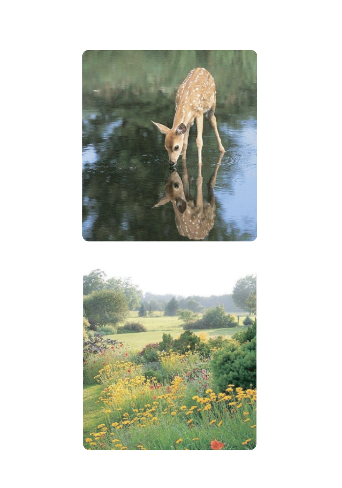 Стікерпак 3D "Comfort zone"