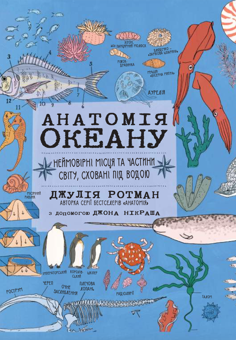 Анатомія океану. Неймовірні місця та частини світу,...