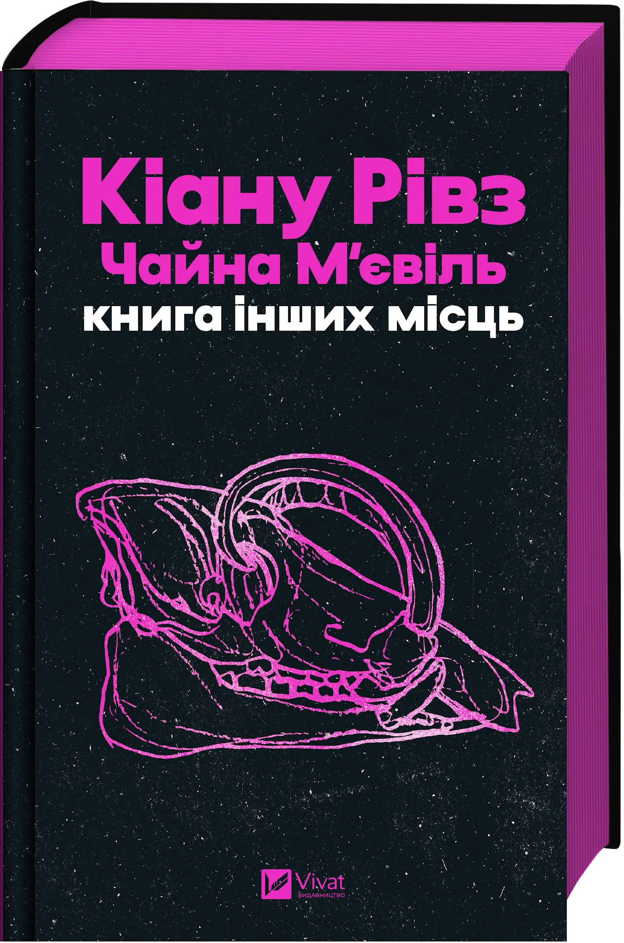 Книга інших місць