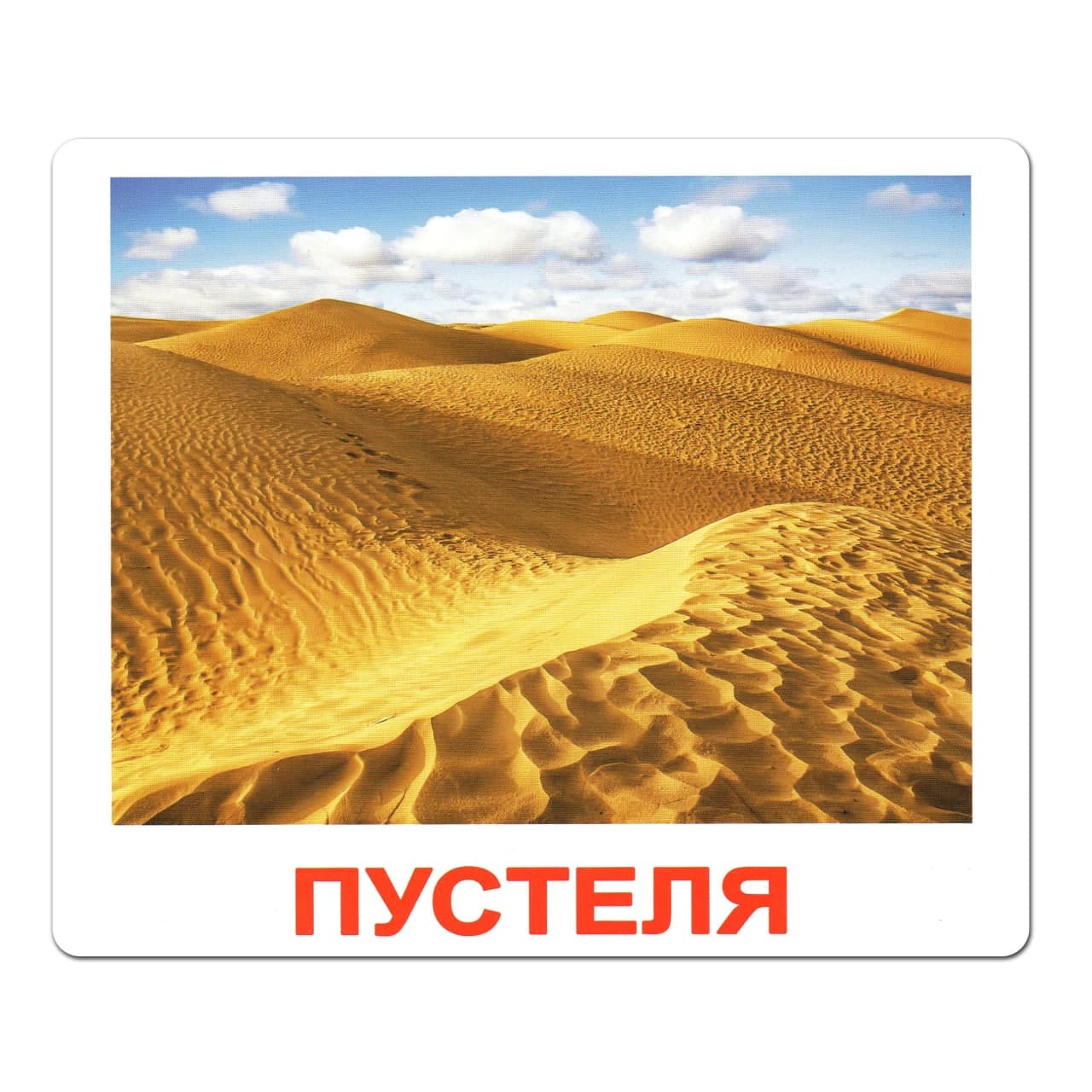 Ламіновані картки Домана "Природа"